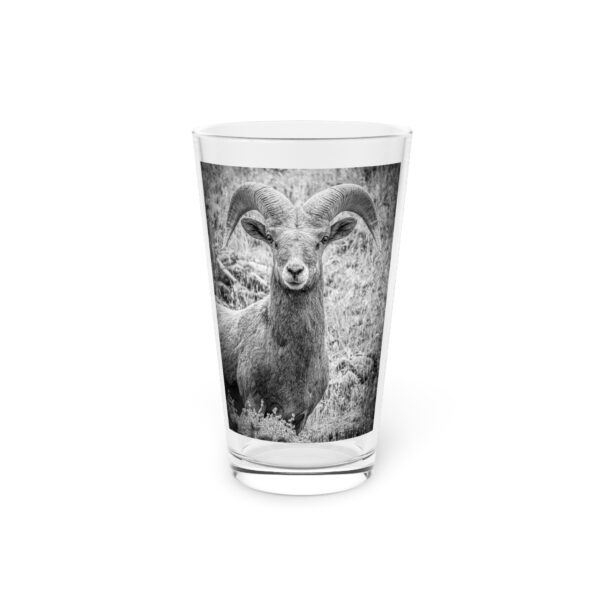 Pint Glass (16oz), Featuring RUGGED BEAUTY | Exclusive photography by Fevold Photography