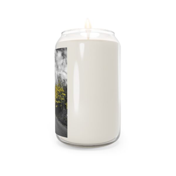 Scented Candle, 13.75oz Featuring LAST GLIMPSE OF AUTUMN | Exclusive Photography by Fevold Photography - Image 11