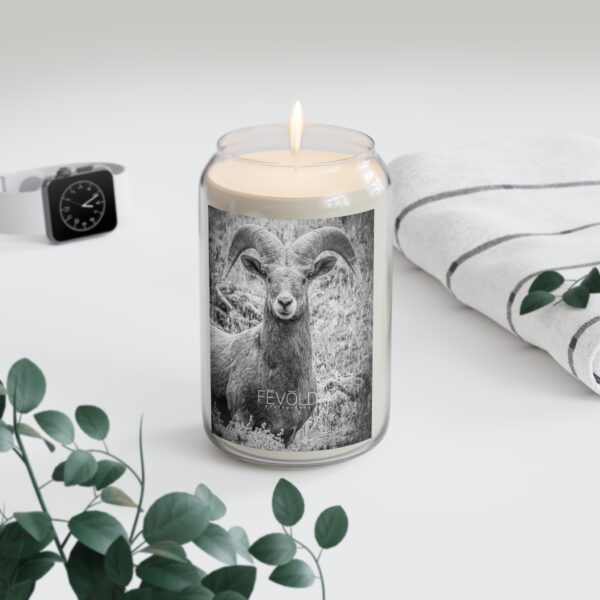 Scented Candle, 13.75oz Featuring RUGGED BEAUTY  | Exclusive Photography by Fevold Photography - Image 4