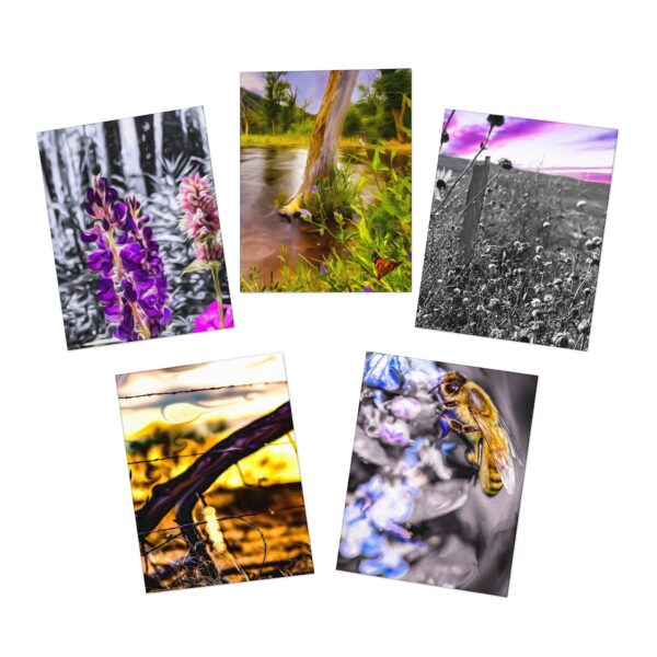 Multi-Design PAINTOGRAPHY Greeting Cards (5-Pack) Featuring | Exclusive Photography by Fevold Photography