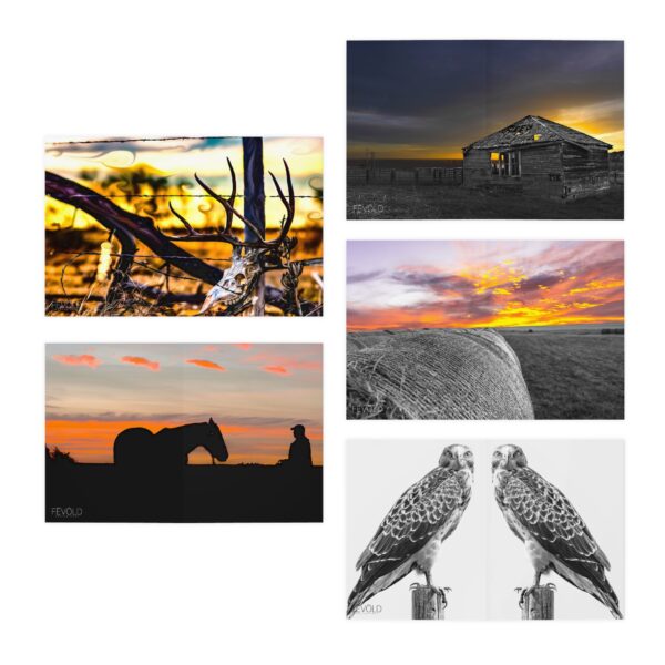 Multi-Design NEBRASKA Greeting Cards (5-Pack) Featuring | Exclusive Photography by Fevold Photography - Image 2