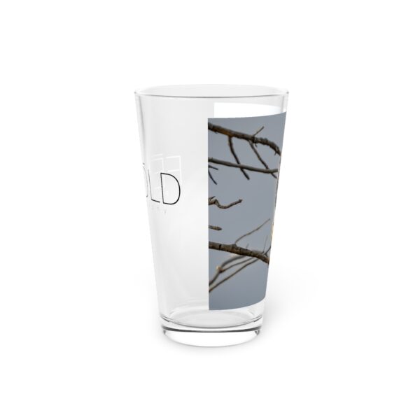 Pint Glass (16oz), Featuring AMERICAN KESTREL | Exclusive photography by Fevold Photography - Image 4