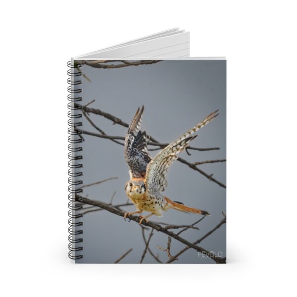 Spiral Notebook - Ruled Line Featuring AMERICAN KESTREL Exclusive Photography by Fevold Photography - Image 2