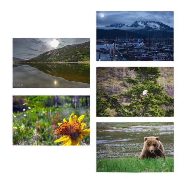 Nature & More - Multi-Design Greeting Cards (5-Pack) - Image 2