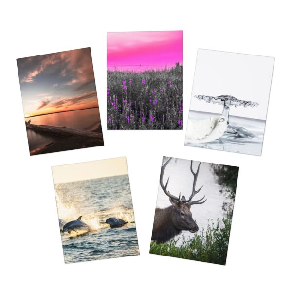 Nature & More - Multi-Design Greeting Cards (5-Pack) Featuring | Exclusive Photography by Fevold Photography