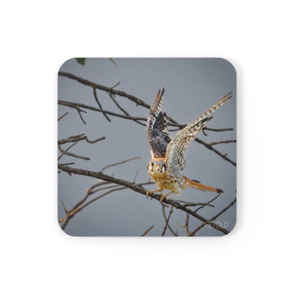 Cork Back Coaster featuring AMERICAN KESTREL | Exclusive Photo by Fevold Photography