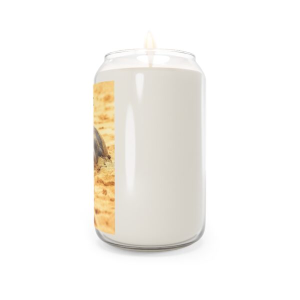 Scented Candle, 13.75oz Featuring BEACH LIFE | Exclusive Photography by Fevold Photography - Image 4