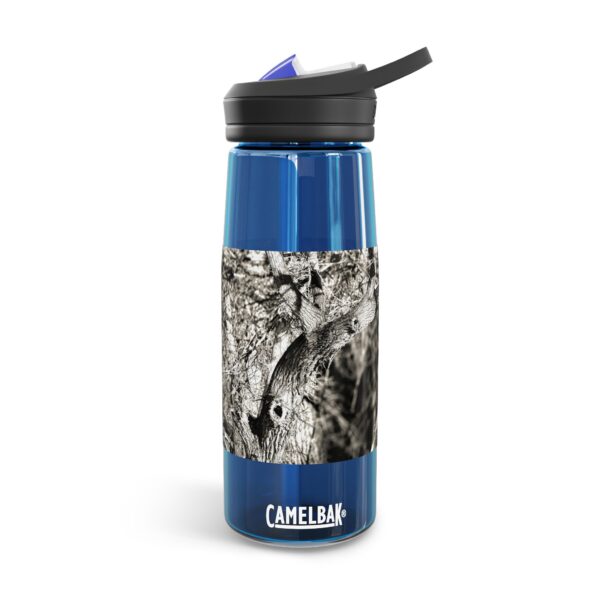 CamelBak Eddy®  Water Bottle, 20oz or 25oz | Featuring ILLUSIONS PROVOKED BY THE SOUNDS | Exclusive Photography by Fevold Photography - Image 17