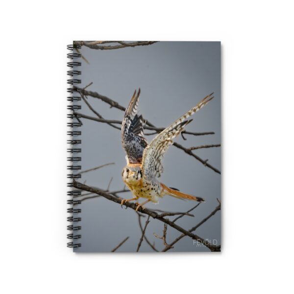 Spiral Notebook - Ruled Line Featuring AMERICAN KESTREL Exclusive Photography by Fevold Photography