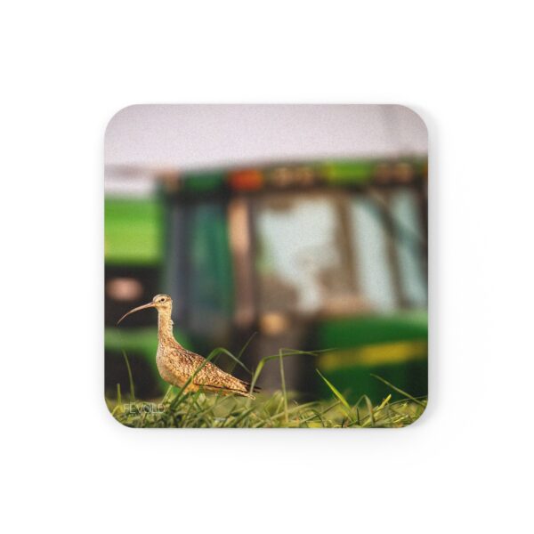 Cork Back Coaster featuring A CURLEW IN ITS ELEMENT | Exclusive Photo by Fevold Photography