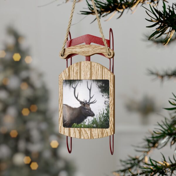 Sled Ornament featuring A LEISURELY STROLL, Exclusive Photo by Fevold Photography - Image 7