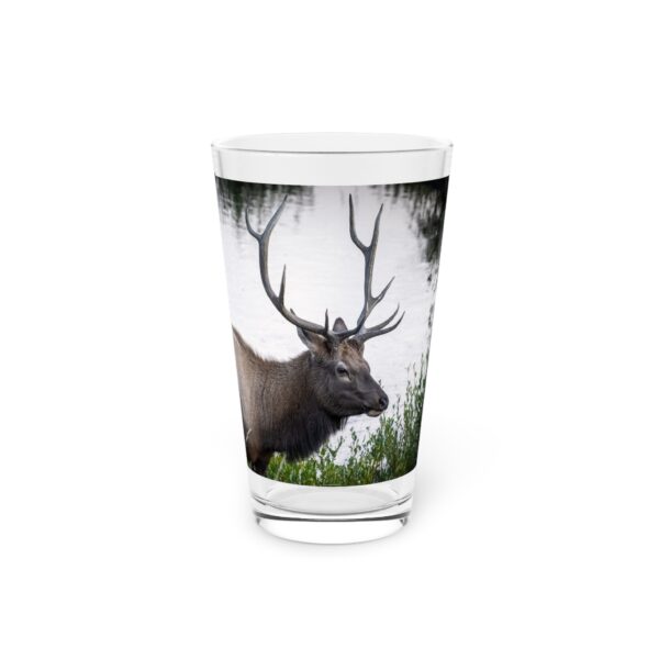 Pint Glass (16oz), Featuring A LEISURELY STROLL | Exclusive photography by Fevold Photography