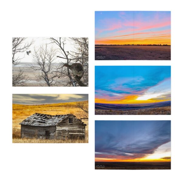 Multi-Design NEBRASKA Greeting Cards (5-Pack) Featuring | Exclusive Photography by Fevold Photography - Image 2