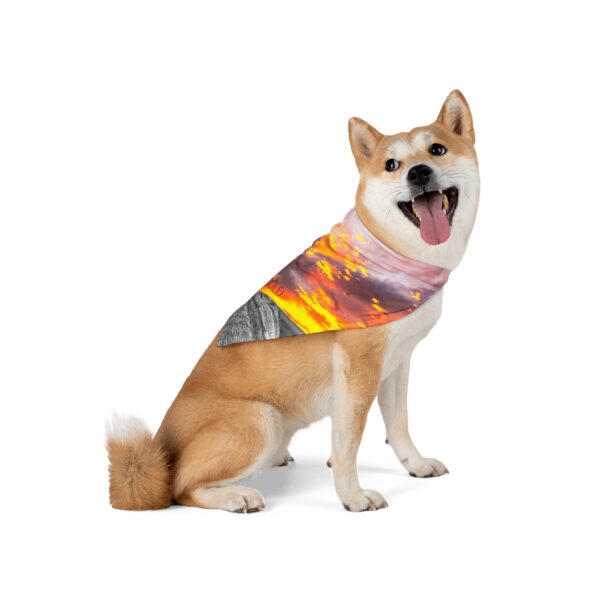 Pet Bandana Featuring SKY ABLAZE | Exclusive Photography by Fevold Photography - Image 2