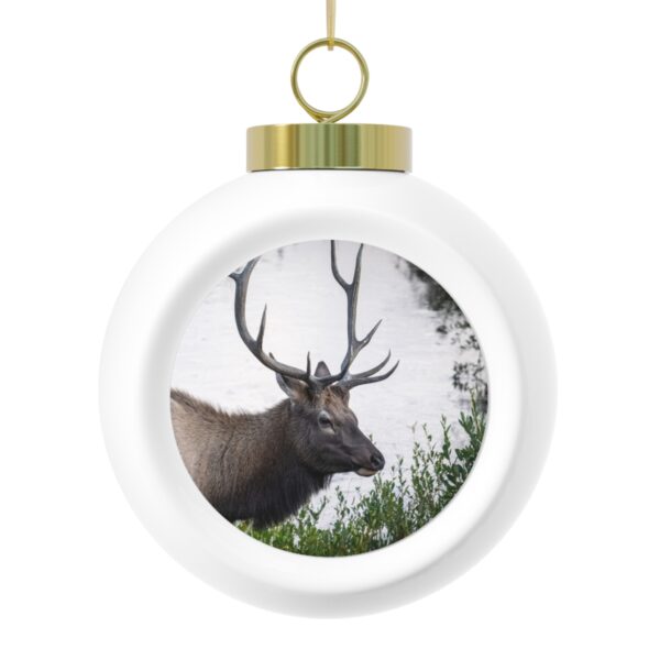 Christmas Ball Ornament featuring A LEISURELY STROLL, Exclusive Photo by Fevold Photography