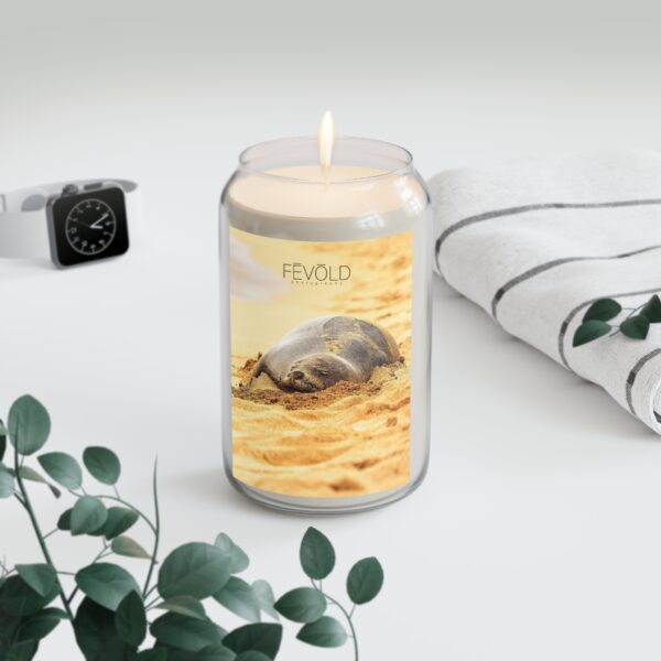 Scented Candle, 13.75oz Featuring BEACH LIFE | Exclusive Photography by Fevold Photography - Image 6