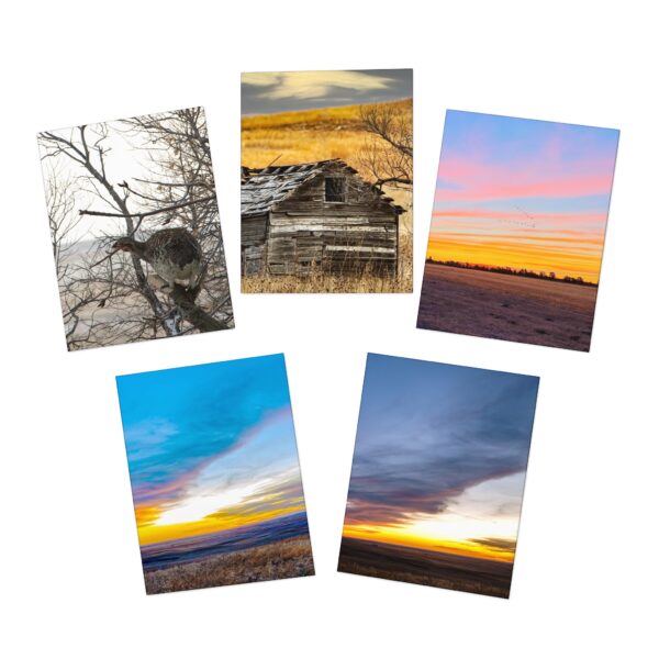 Multi-Design NEBRASKA Greeting Cards (5-Pack) Featuring | Exclusive Photography by Fevold Photography