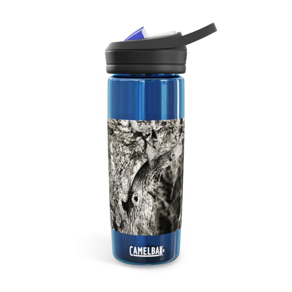 CamelBak Eddy®  Water Bottle, 20oz or 25oz | Featuring ILLUSIONS PROVOKED BY THE SOUNDS | Exclusive Photography by Fevold Photography - Image 11