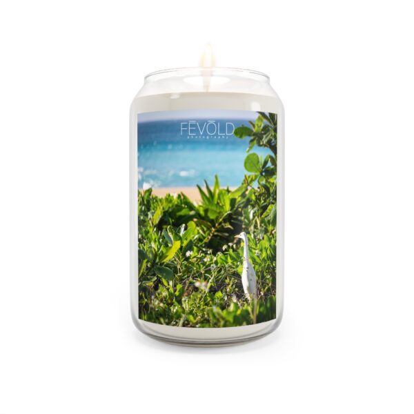 Scented Candle, 13.75oz Featuring SWEET VIEW| Exclusive Photography by Fevold Photography