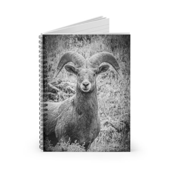 Spiral Notebook - Ruled Line Featuring RUGGED BEAUTY Exclusive Photography by Fevold Photography - Image 2