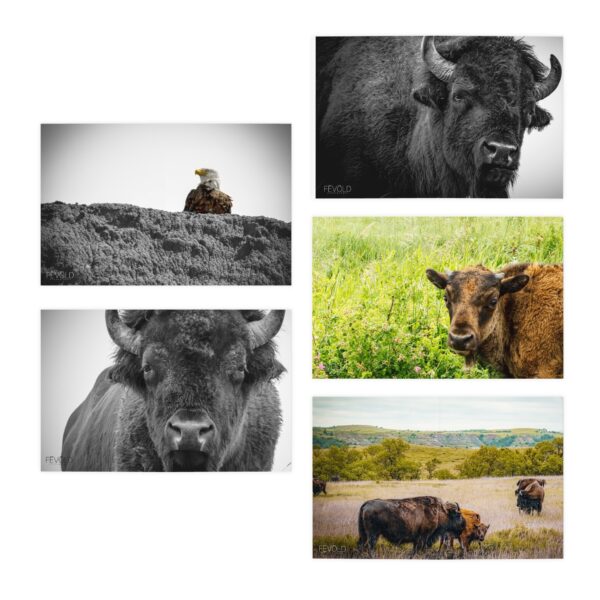 Multi-Design NORTH DAKOTA Greeting Cards (5-Pack) Featuring | Exclusive Photography by Fevold Photography - Image 2