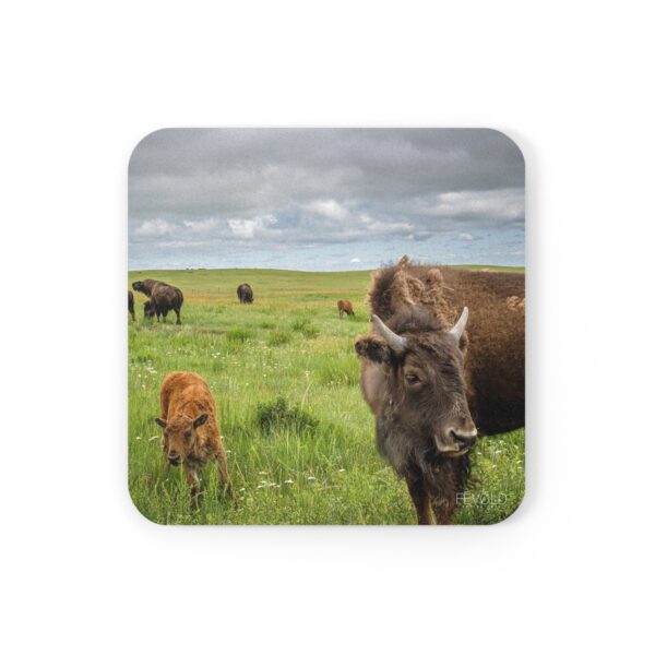 Cork Back Coaster featuring NEW TO THE HERD | Exclusive Photo by Fevold Photography