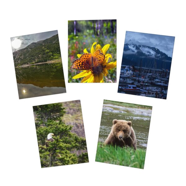 Nature & More - Multi-Design Greeting Cards (5-Pack)