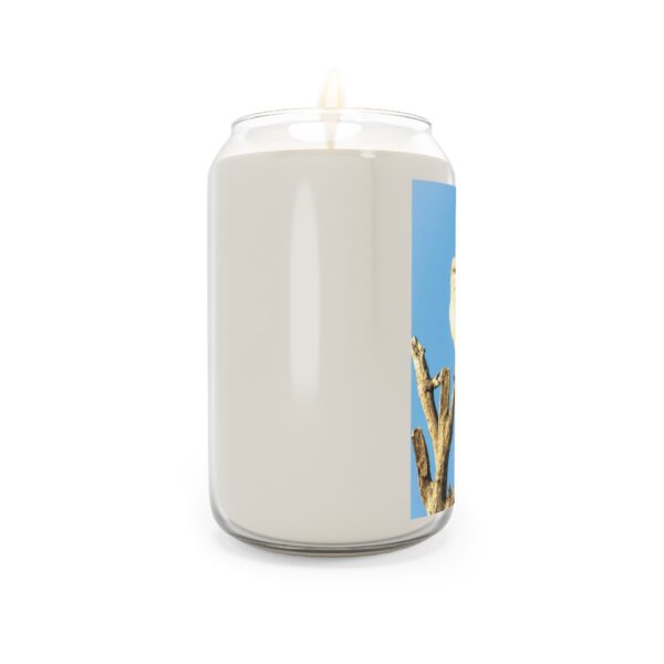 Scented Candle, 13.75oz Featuring WESTERN KINGBIRD | Exclusive Photography by Fevold Photography - Image 12