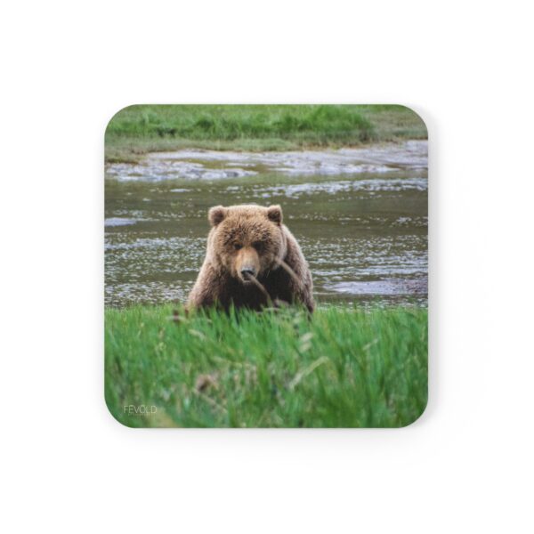 Cork Back Coaster featuring BEAR STARE | Exclusive Photo by Fevold Photography