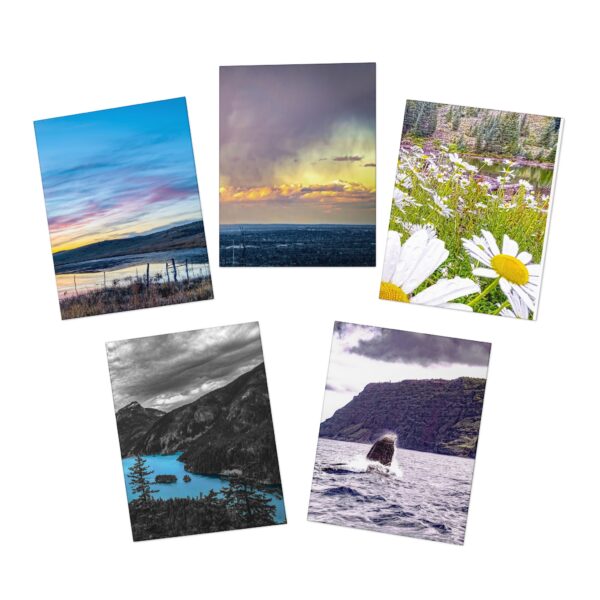 Nature & More Second Edition - Multi-Design Greeting Cards (5-Pack)