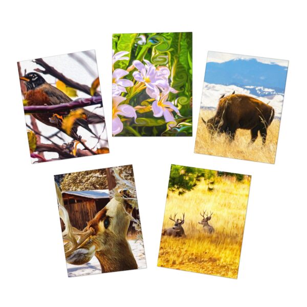 Multi-Design PAINTOGRAPHY Greeting Cards (5-Pack) Featuring | Exclusive Photography by Fevold Photography - Image 2