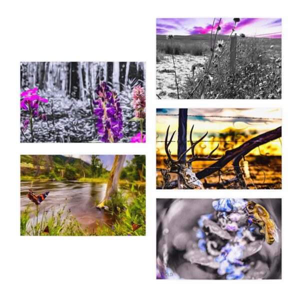 Multi-Design PAINTOGRAPHY Greeting Cards (5-Pack) Featuring | Exclusive Photography by Fevold Photography - Image 2