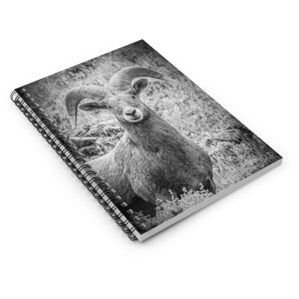 Spiral Notebook - Ruled Line Featuring RUGGED BEAUTY Exclusive Photography by Fevold Photography - Image 3