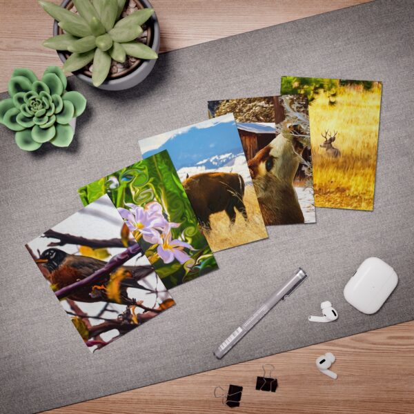 Multi-Design PAINTOGRAPHY Greeting Cards (5-Pack) Featuring | Exclusive Photography by Fevold Photography