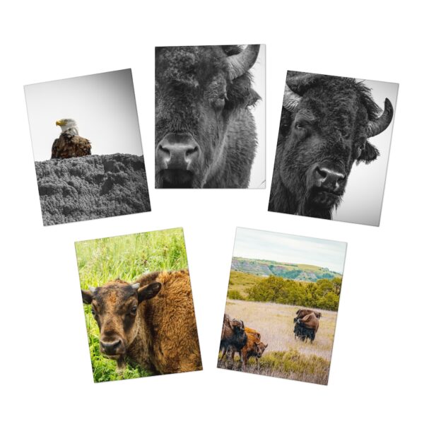 Multi-Design NORTH DAKOTA Greeting Cards (5-Pack) Featuring | Exclusive Photography by Fevold Photography