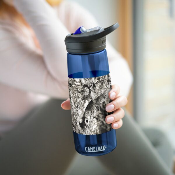 CamelBak Eddy®  Water Bottle, 20oz or 25oz | Featuring ILLUSIONS PROVOKED BY THE SOUNDS | Exclusive Photography by Fevold Photography - Image 20