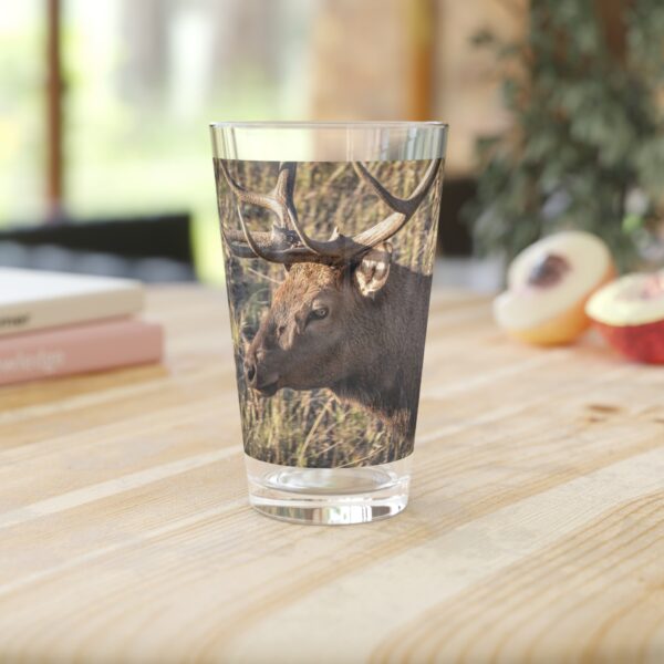 Pint Glass (16oz), Featuring WATCHING THE SUN'S DESCENT | Exclusive photography by Fevold Photography