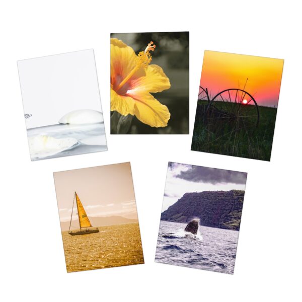 Nature & More - Multi-Design Greeting Cards (5-Pack)