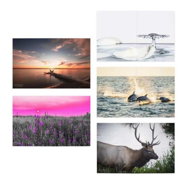 Nature & More - Multi-Design Greeting Cards (5-Pack) Featuring | Exclusive Photography by Fevold Photography - Image 2