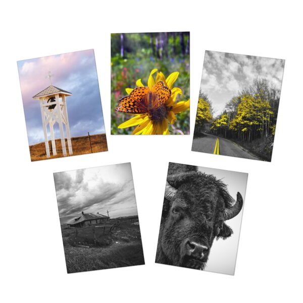 Nature & More - Multi-Design Greeting Cards (5-Pack)