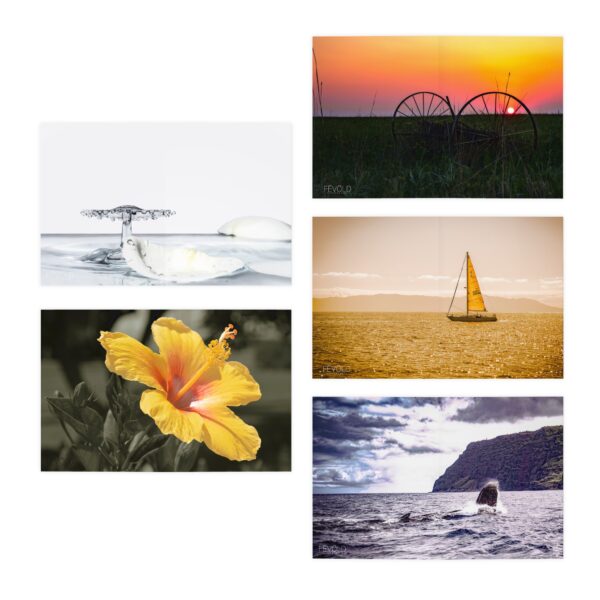 Nature & More - Multi-Design Greeting Cards (5-Pack) - Image 2