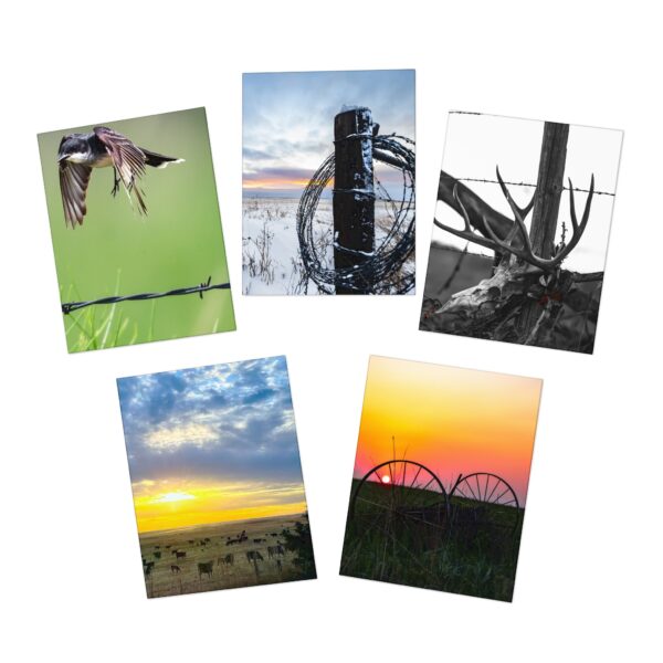 Multi-Design NEBRASKA Greeting Cards (5-Pack) Featuring | Exclusive Photography by Fevold Photography