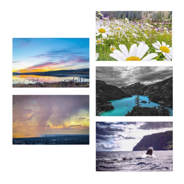 Nature & More - Multi-Design Greeting Cards (5-Pack) - Image 2