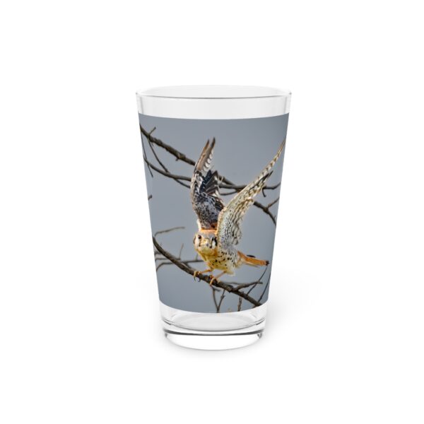 Pint Glass (16oz), Featuring AMERICAN KESTREL | Exclusive photography by Fevold Photography - Image 3