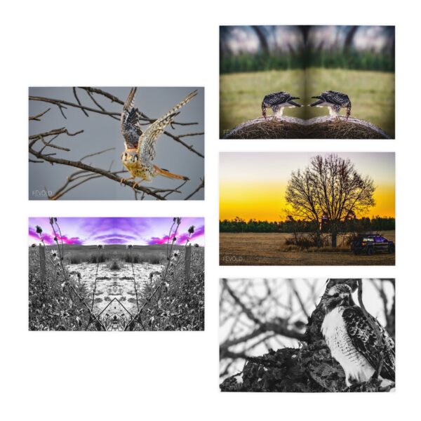 Multi-Design NEBRASKA Greeting Cards (5-Pack) Featuring | Exclusive Photography by Fevold Photography - Image 2