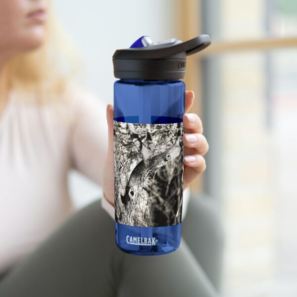 CamelBak Eddy®  Water Bottle, 20oz or 25oz | Featuring ILLUSIONS PROVOKED BY THE SOUNDS | Exclusive Photography by Fevold Photography - Image 14