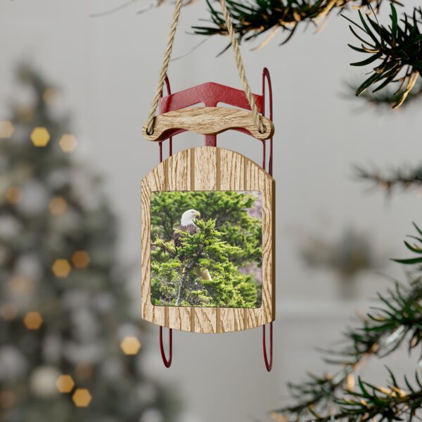 Sled Ornament featuring 'MERICA, Exclusive Photo by Fevold Photography - Image 7