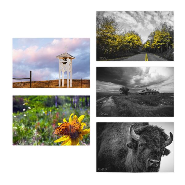 Nature & More - Multi-Design Greeting Cards (5-Pack) - Image 2