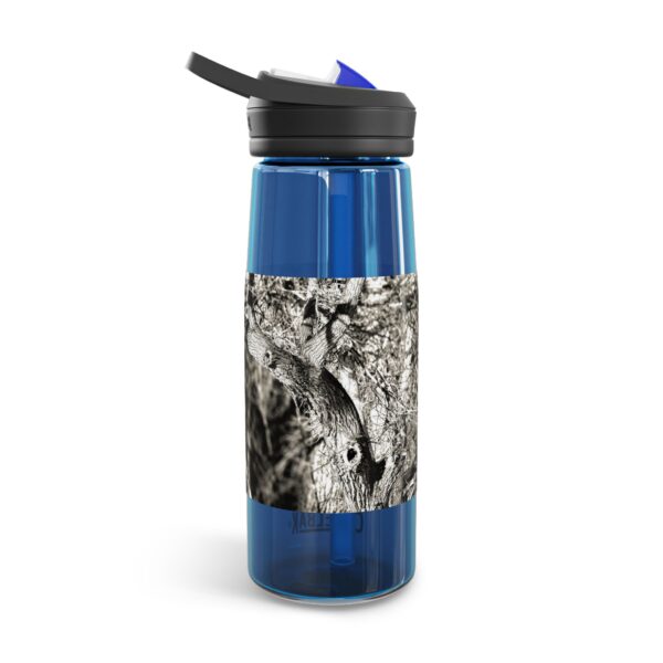 CamelBak Eddy®  Water Bottle, 20oz or 25oz | Featuring ILLUSIONS PROVOKED BY THE SOUNDS | Exclusive Photography by Fevold Photography - Image 19