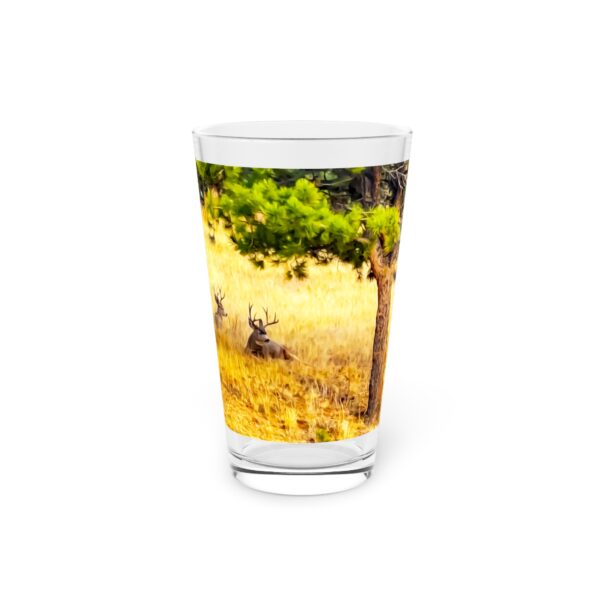 Pint Glass (16oz), Featuring AWARE | Exclusive photography by Fevold Photography - Image 3